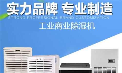 電子廠發(fā)電站購買空氣除濕機(jī)的重要性