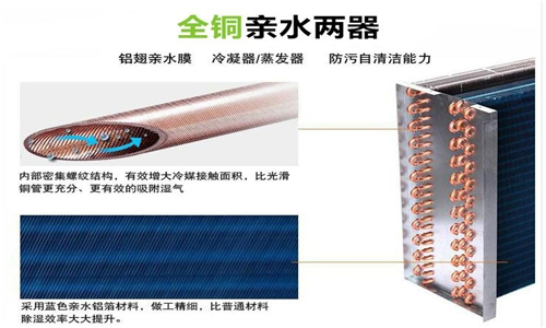 地下室倉庫使用除濕機，確保倉庫干燥無濕氣